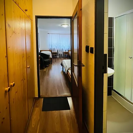 94 Profibikers 招待所 Bystrá